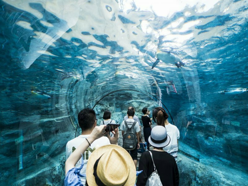 Asahiyama Zoo