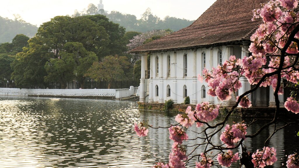 Kandy's lakeside Royal Temple
