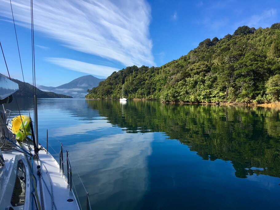 Take scenic trains, cruises, and water taxis to explore the South Island's pristine coastline