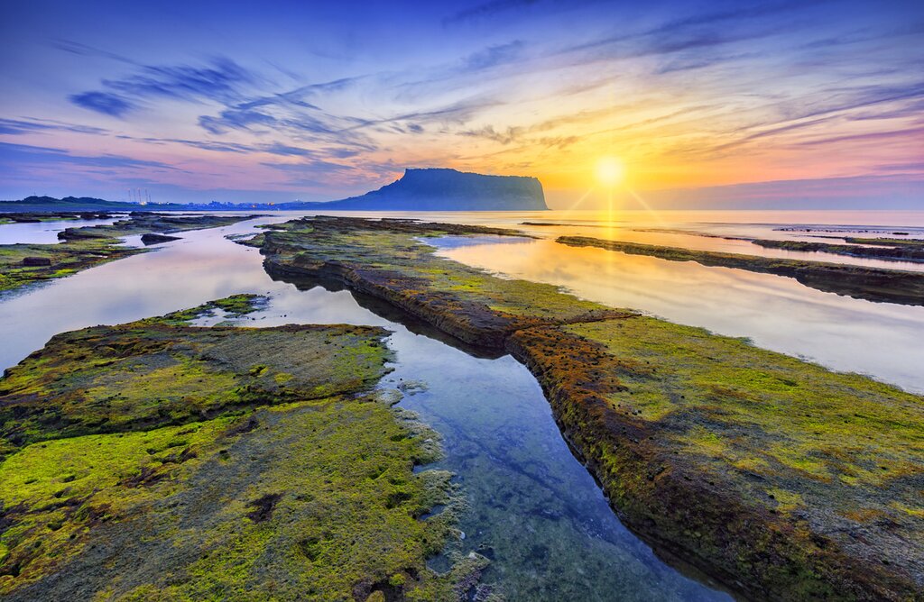 Free Day on Jeju Island