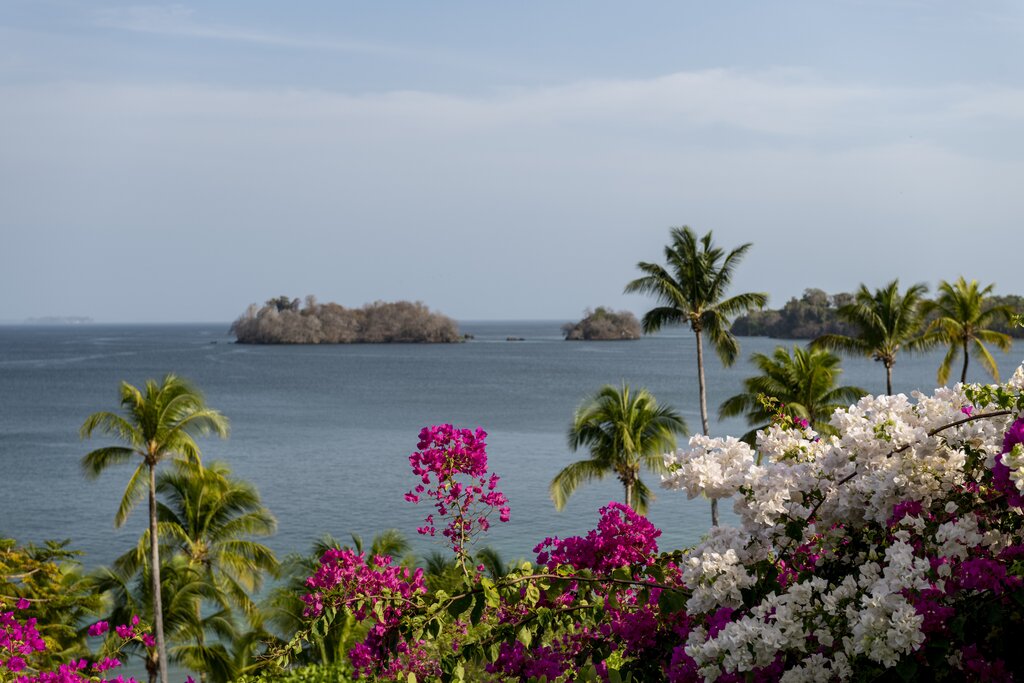 Bask in the colorful tropical paradise of the Pearl Islands