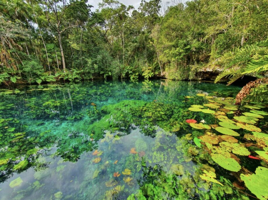 Tulum Jungle Adventure
