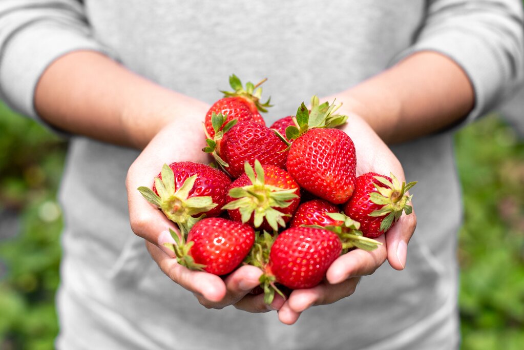 Pick strawberries