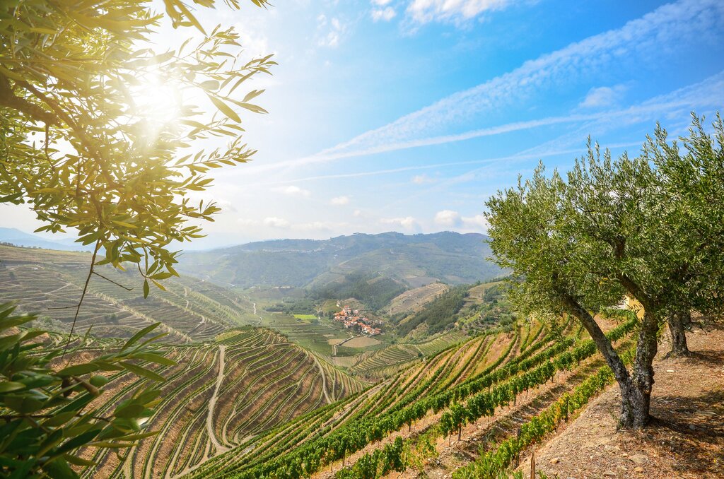 Sun shines in the Douro Valley