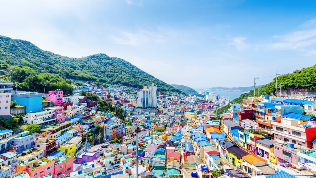 Busan's Fall Colors: Beomeosa, Geumgang Park, and Jagalchi Fishery Market