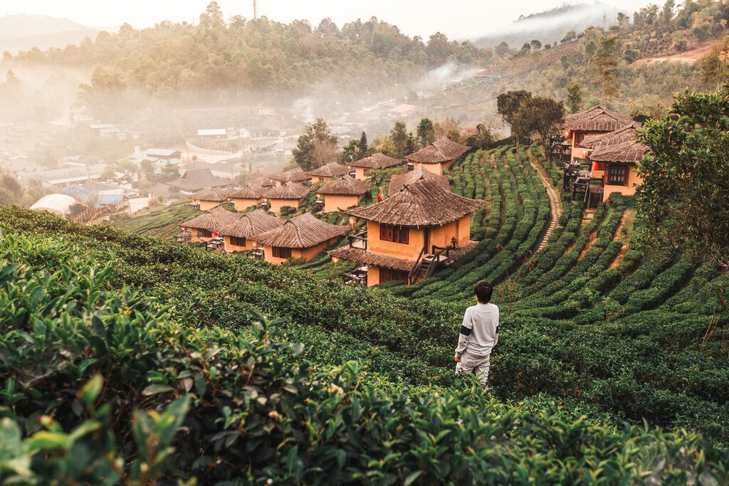 A Visit to Baan Rak Thai, Namtok Pha Suea National Park and Su Tong Pae Bridge