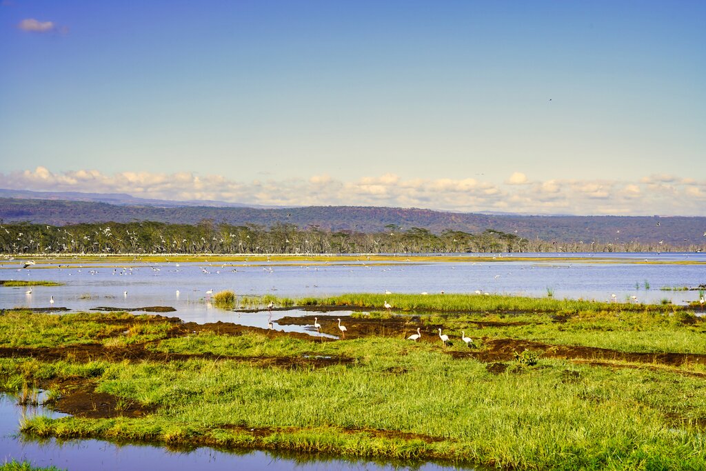  Lake Nakuru National park