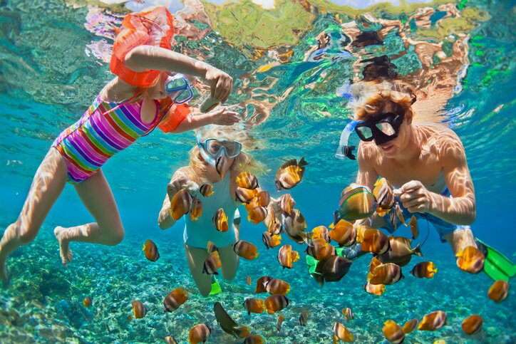 Snorkeling is a perfect activity on your free day in Playa del Carmen