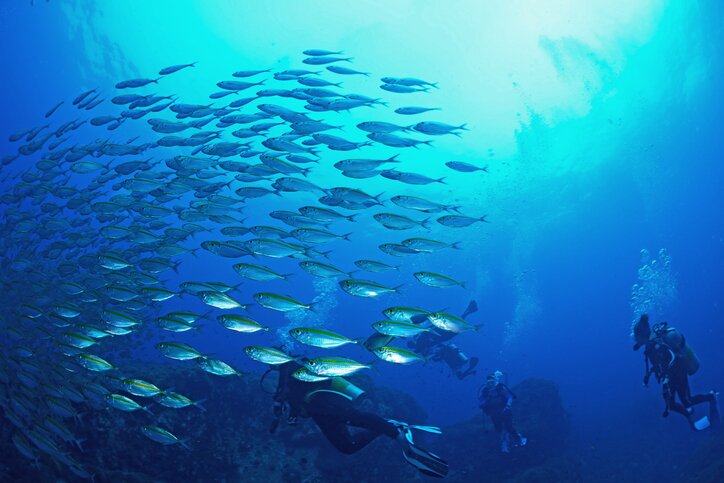 Full Day Angthong National Marine Park Tour