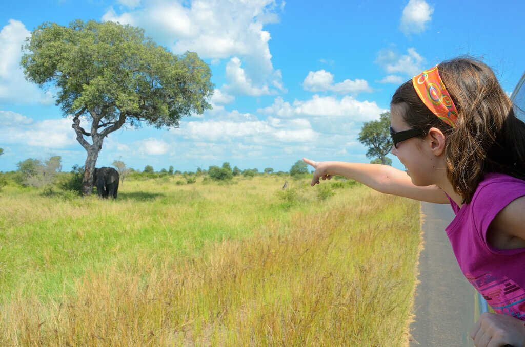 Take the family on safari!