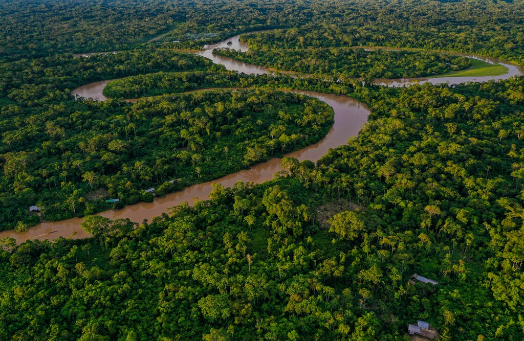 Aerial view over a tropical forest with a river meandering through the canopy of the rainforest and houses of indigenous people of the amazon visible along the rive