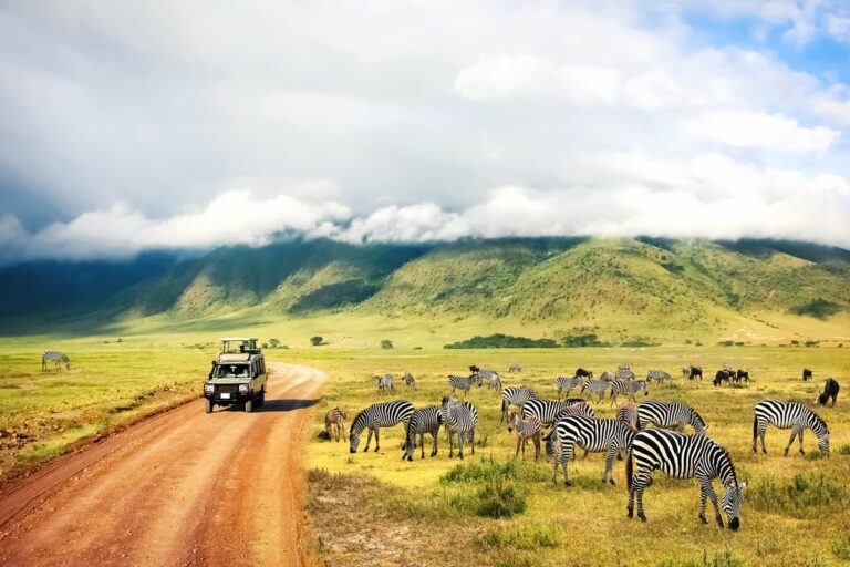 Kenya & Tanzania Safari Adventure - 14 Days