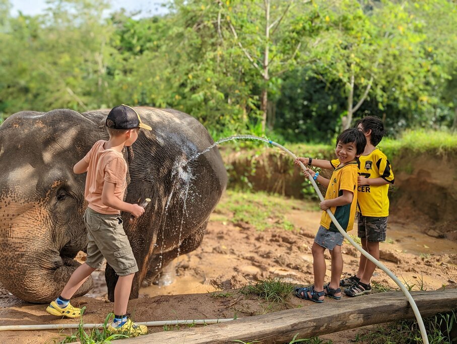 Family Visit to Wildlife Friends Foundation