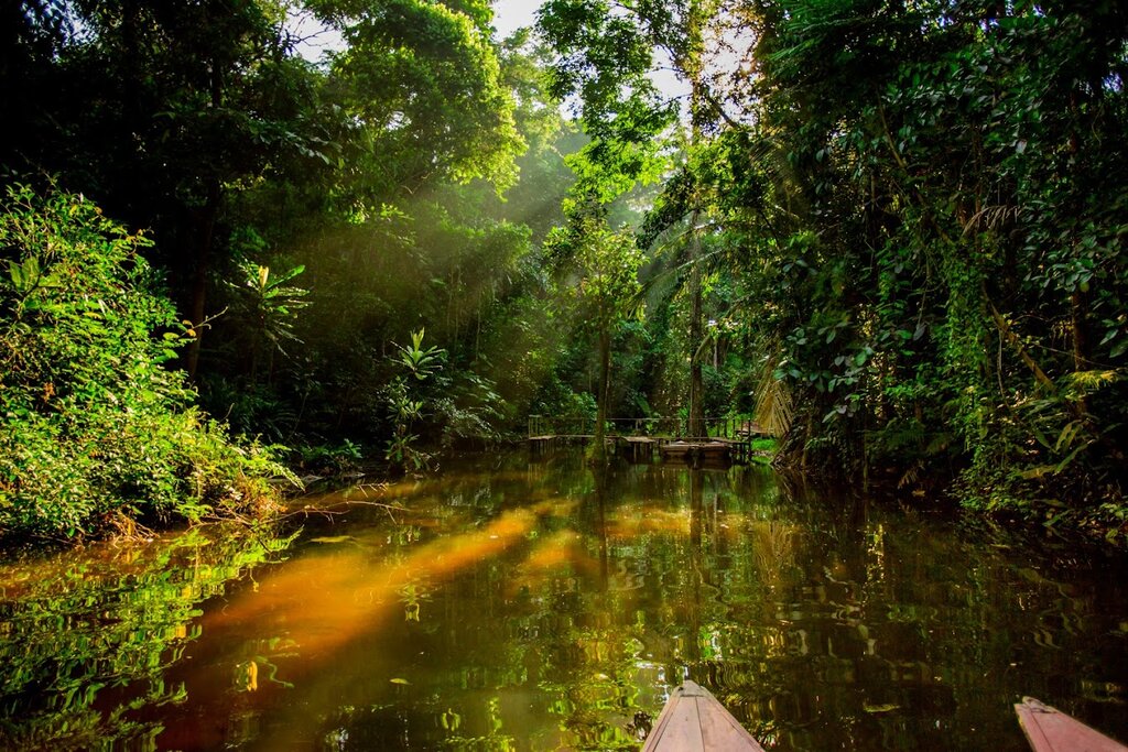 Spend three days exploring Peru's Amazon region on a luxury cruise (photo courtesy of Delfin Amazon Cruises)
