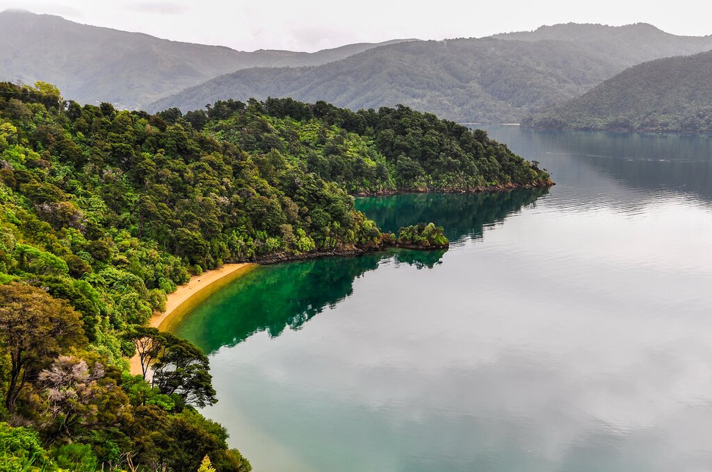 Take the ferry to Picton on the South Island for the full-day Queen Charlotte Track
