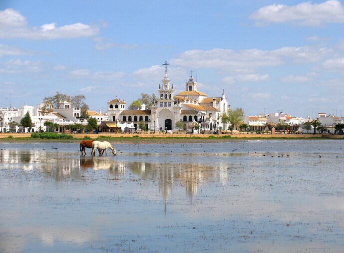Day Trip to Doñana & El Rocio 