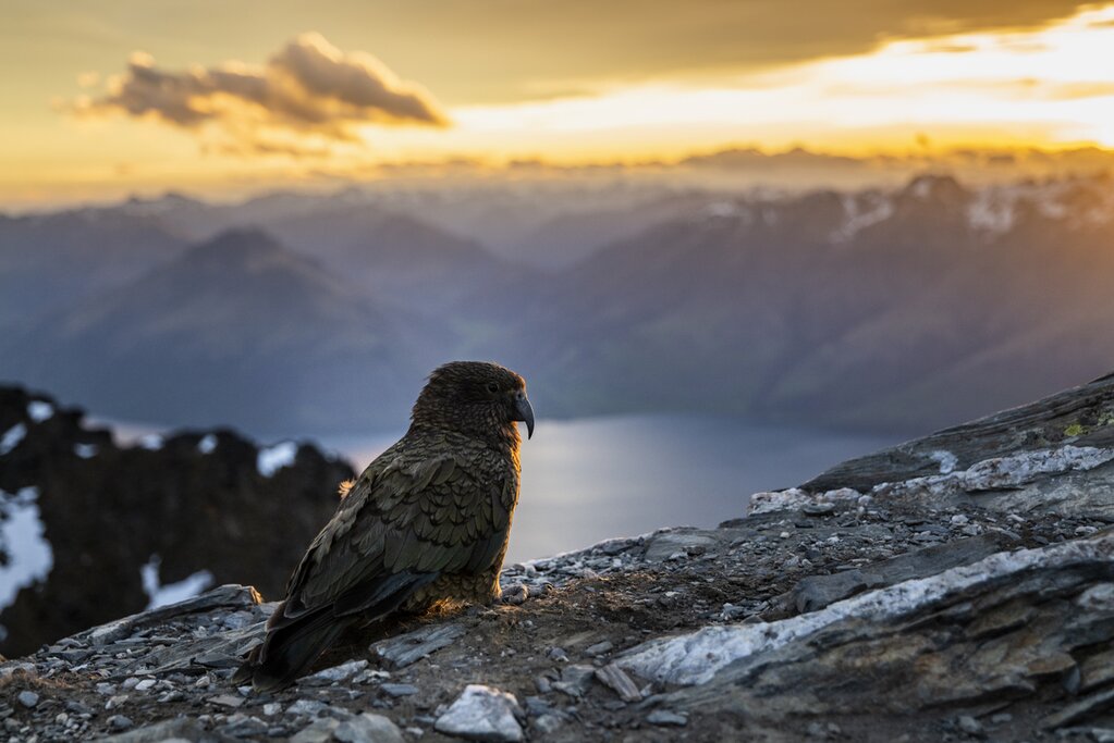 Queenstown in winter