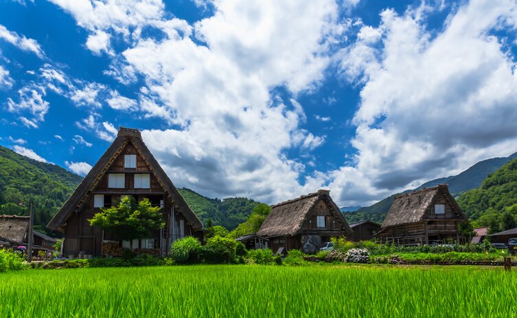 Snow Rooftops in Shirakawa
