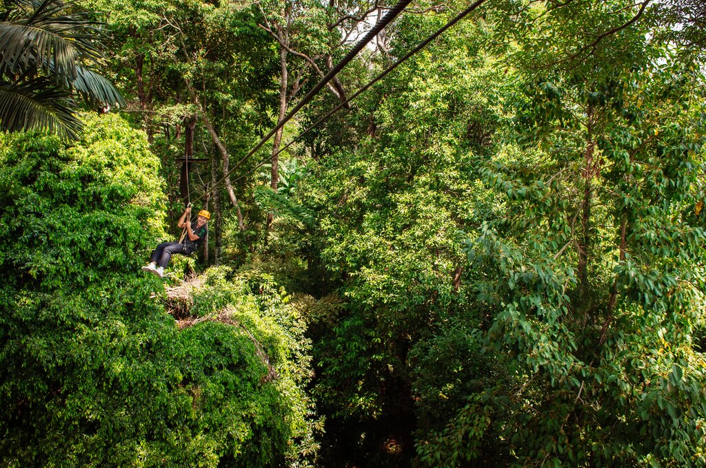 zip line over lush tropical forest canopy in Phuket