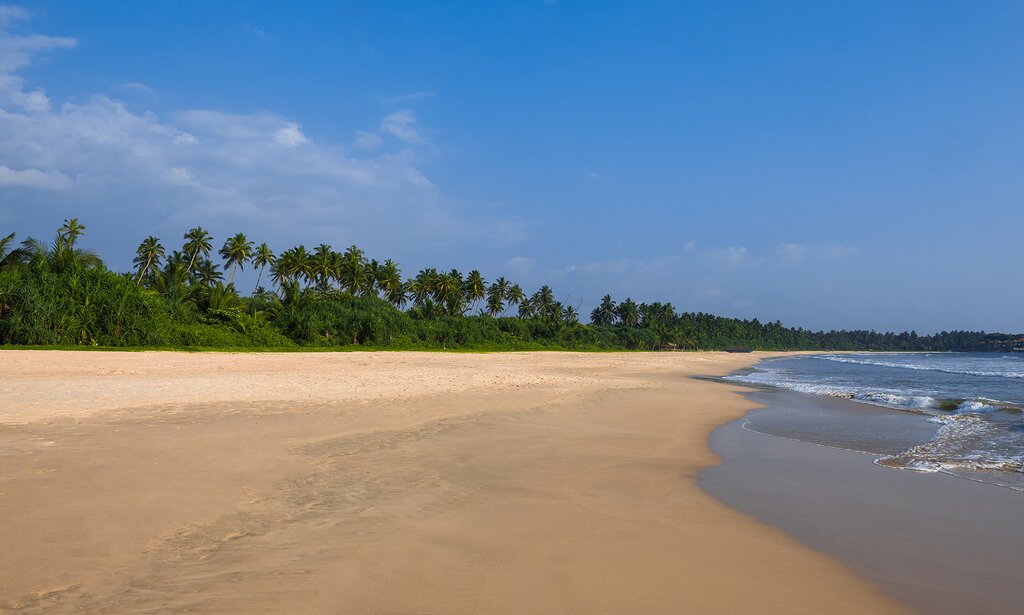 Sri Lanka, Bentota - Bentota's palm-fringed shoreline