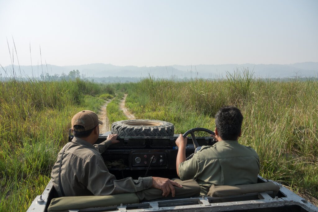 Jeep Safari © Tiger Tops