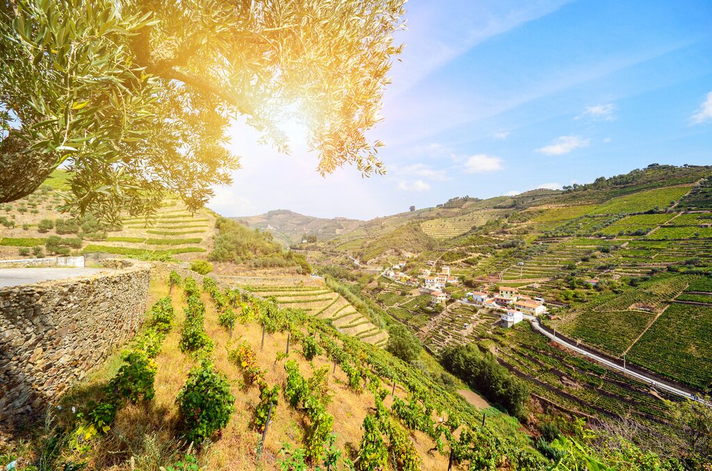 Douro Valley