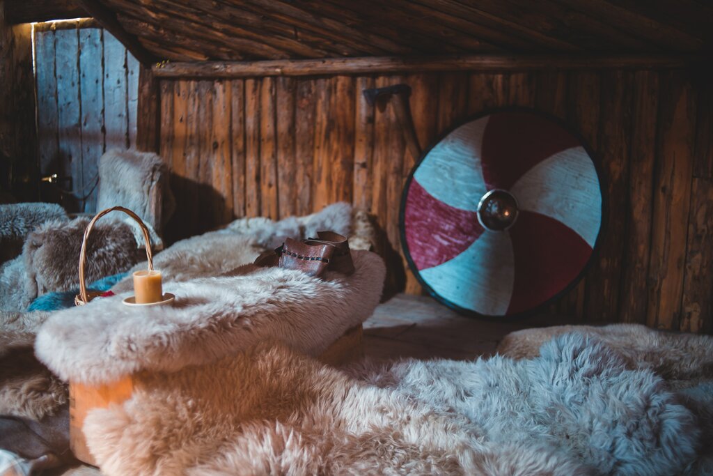 Amazing Viking history on a private full day tour from Stockholm