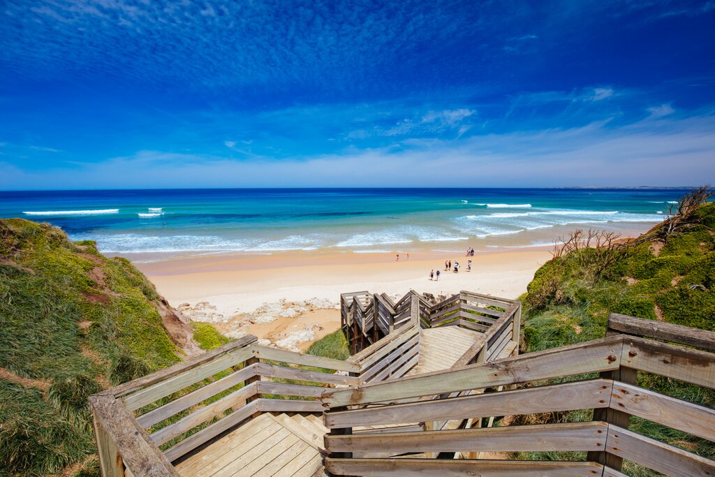 Phillip Island and Moonlit Sanctuary Tour + Penguins Plus Viewing