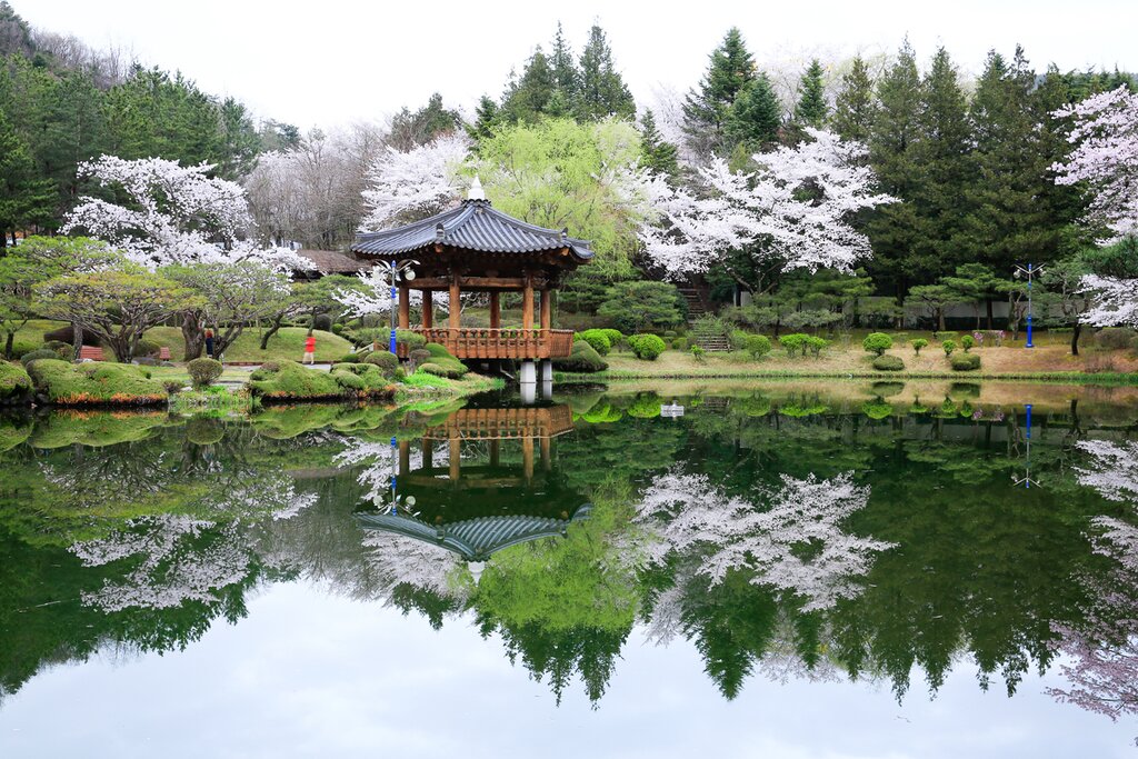 Half Day Bulguksa and Seokguram Grotto Tour