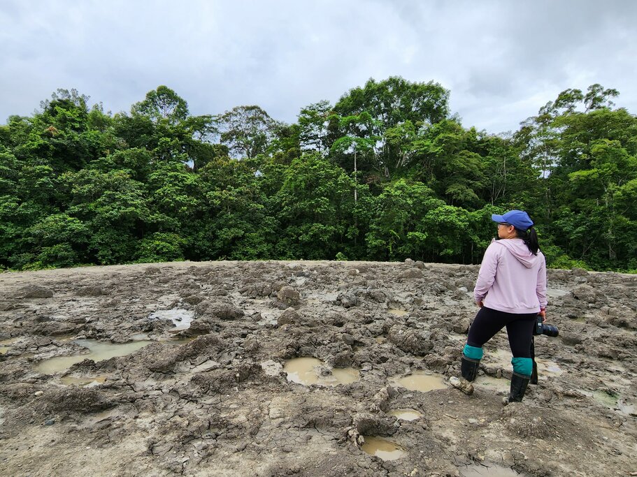 Lipad mud volcano