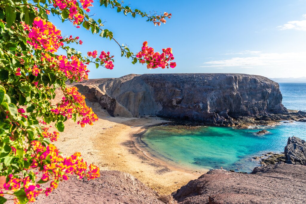 Papagayo