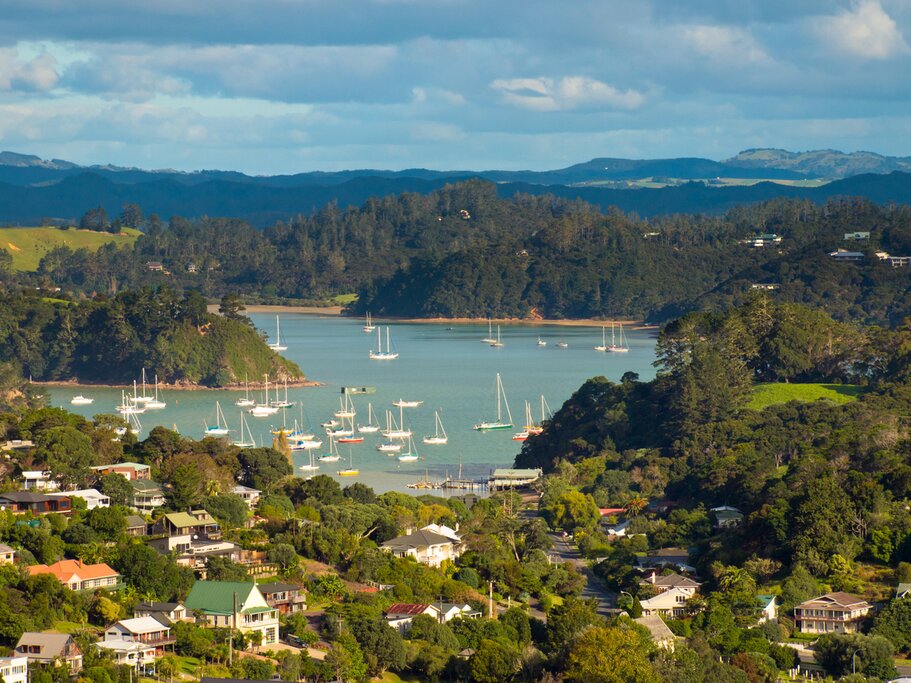 Trade your car for a boat cruise around the Coromandel Peninsula