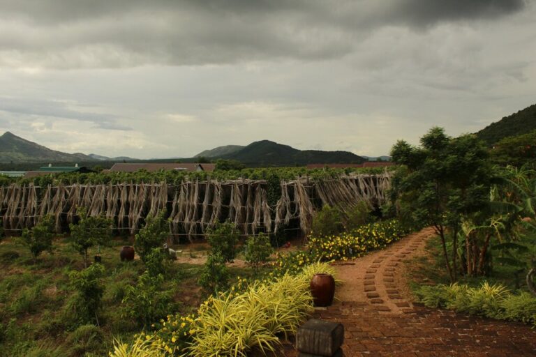 Cambodia In March Travel Tips Weather More