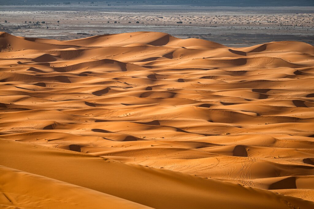 Enjoy a Jeep Ride through the Dunes