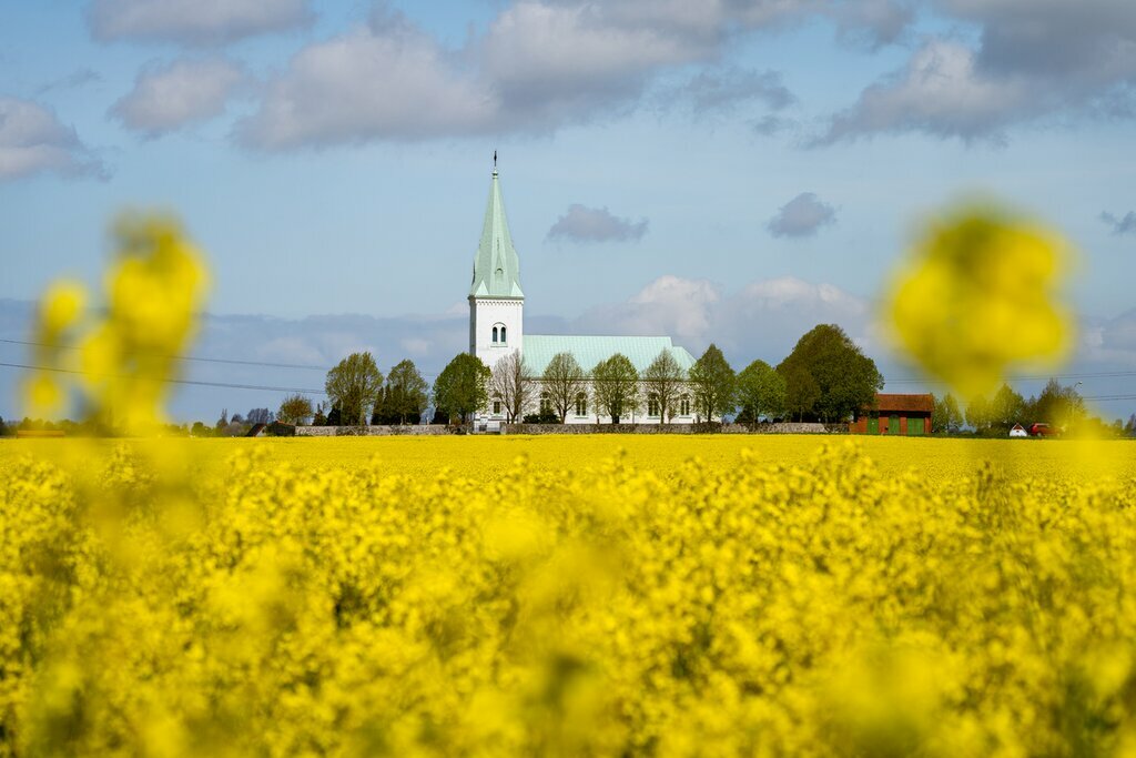 Drive through Skåne County amid the fields of rapeseed (early May) and see the Södra Åkarp Church
