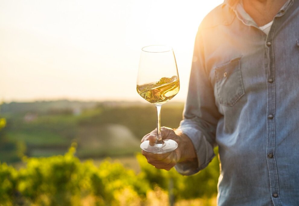 Wine Sampler - Half Day