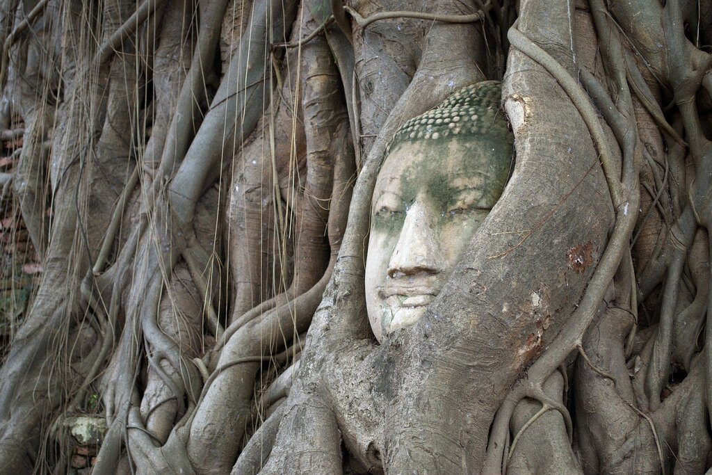 Ayutthaya Tour - the Ancient Siam Capital