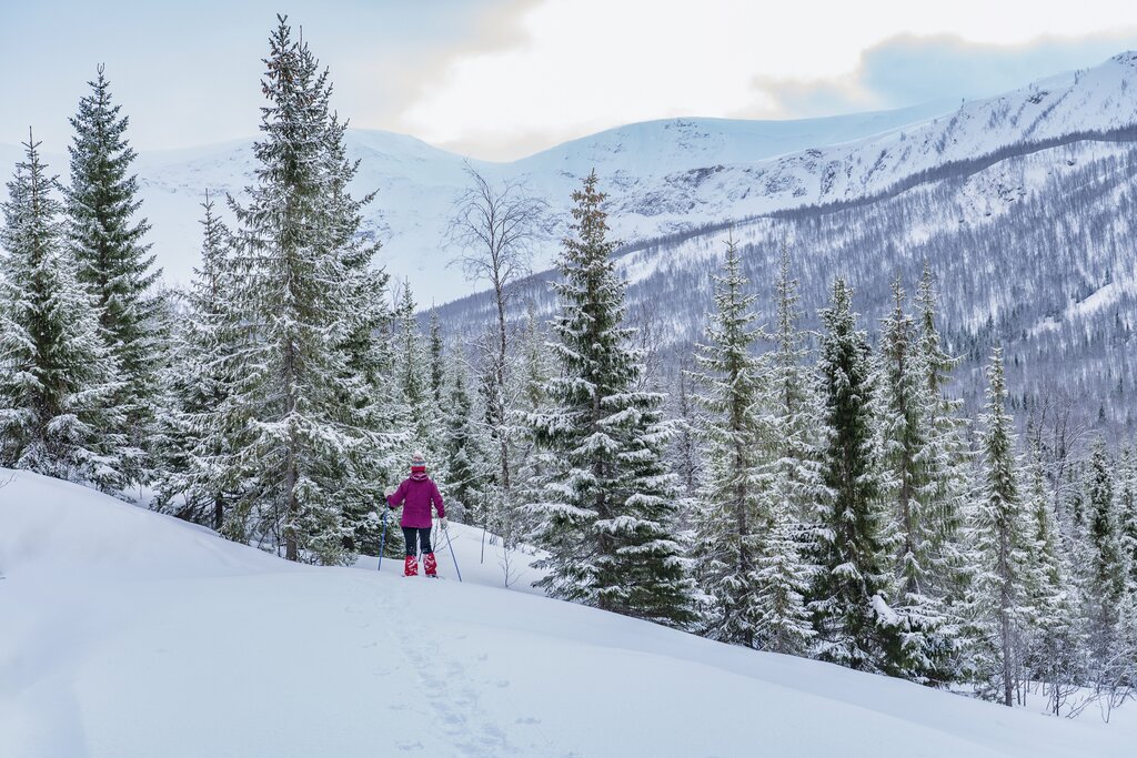 Snowshoeing in Norway
