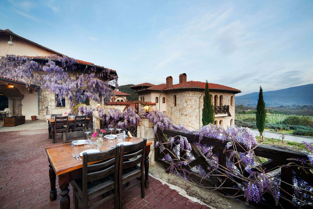 Wine Tasting at Yedi Bilgeler Vineyard