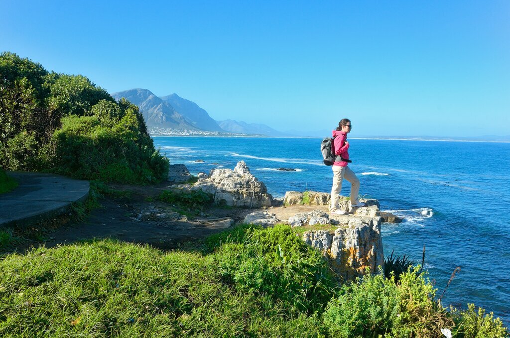 Drive From Cape Town to Hermanus