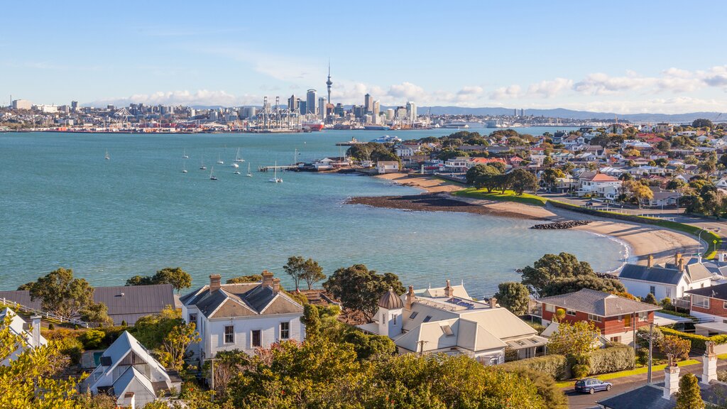 Auckland skyline in the distance