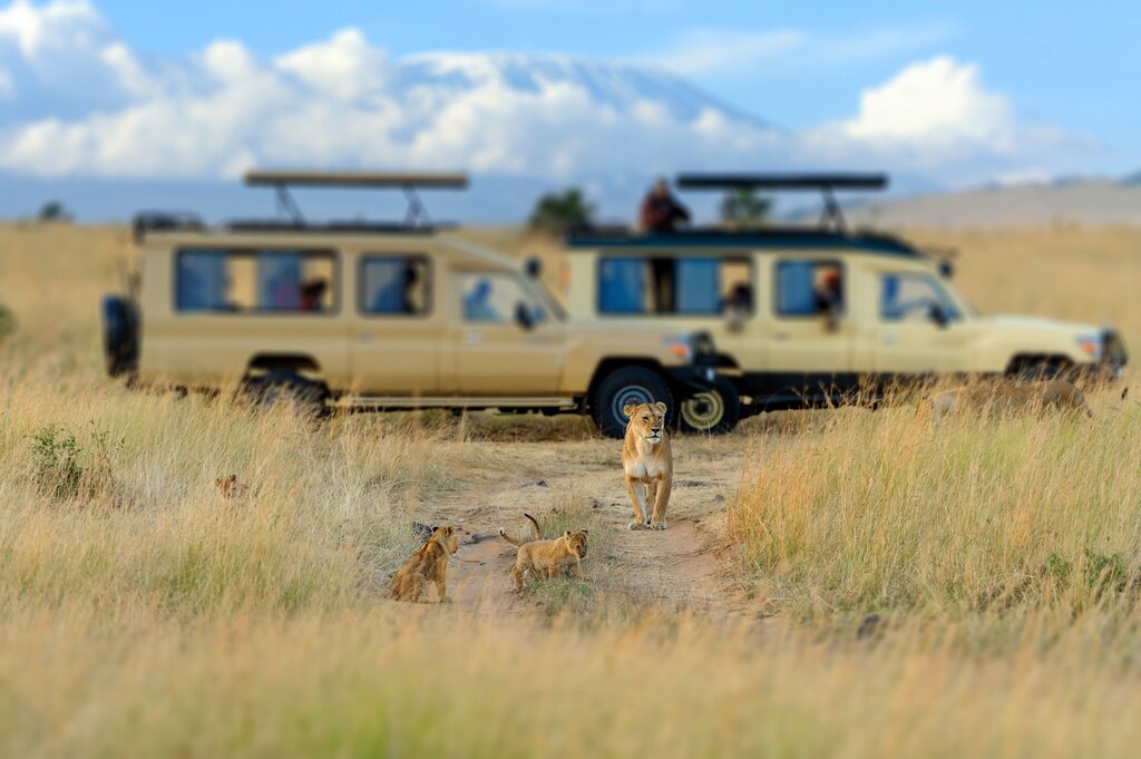 Masai Mara National Reserve