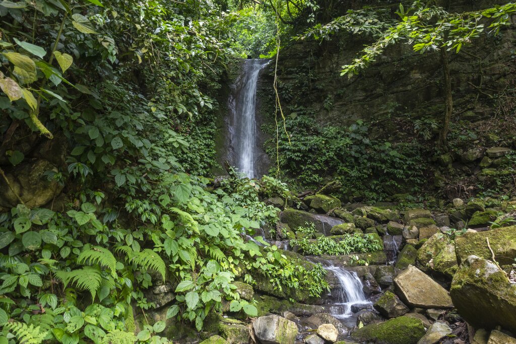 Hike through Poza pata de Perro