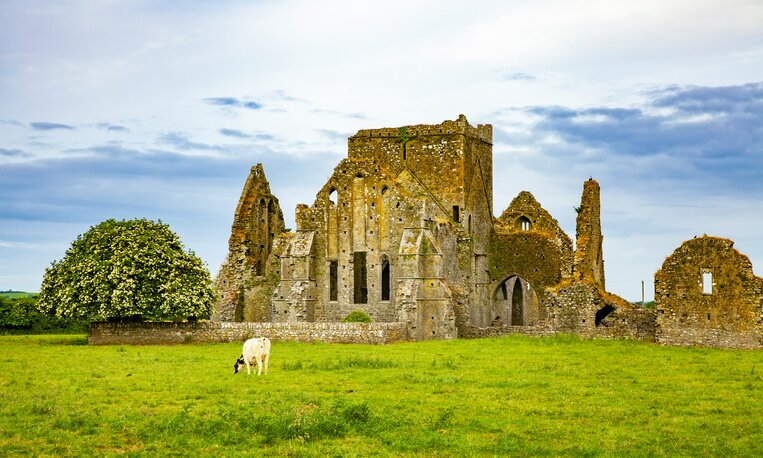 Explore the historic highlights of Ireland, like Blarney Castle