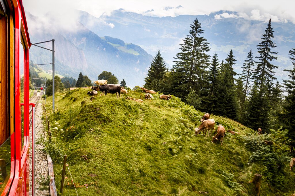 Mount Rigi, the Queen of Mountains (Private tour/6 hours)