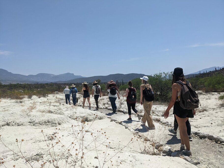 Hike through the arid landscapes of the Tehuacán Biosphere Reserve