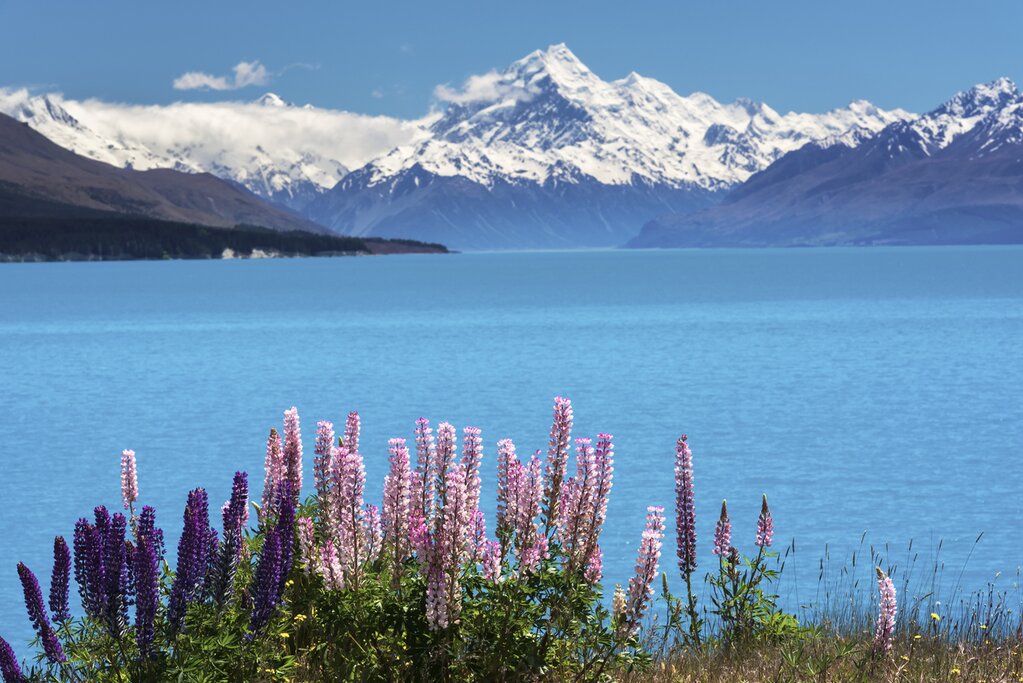 Travel at your own pace as you explore national parks, like Aoraki / Mount Cook