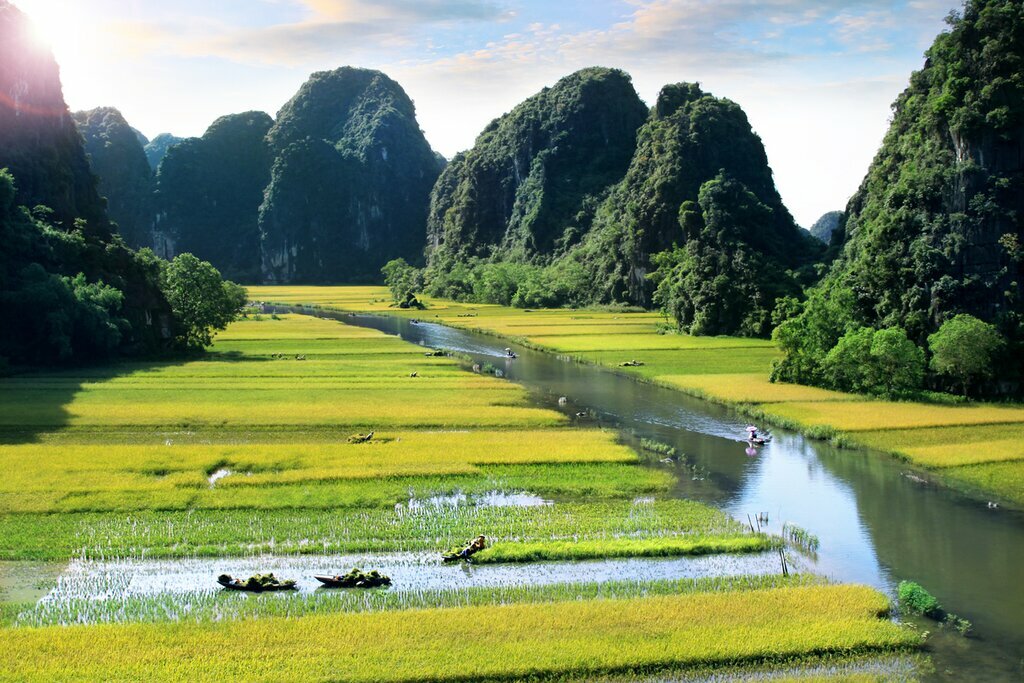 Rice fields and river in Ninh Binh, Vietnam