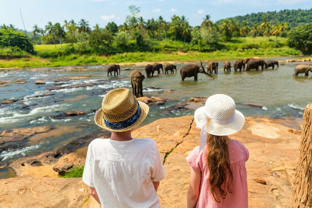 Elephants gathered on the shores of Minneriya Tank Reservoir