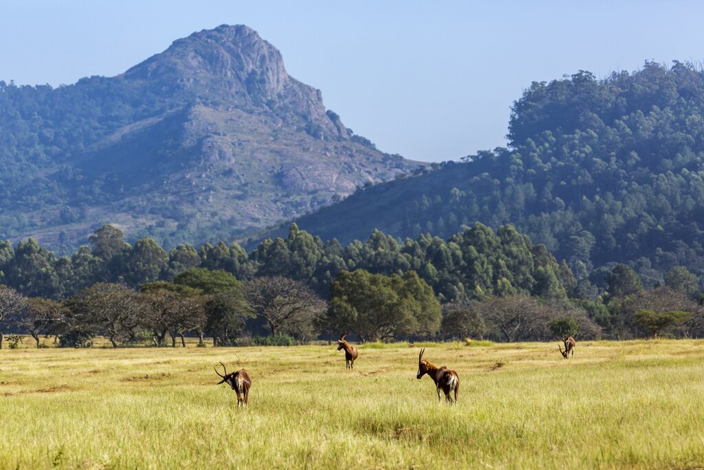 Mlilwane Nature Reserve